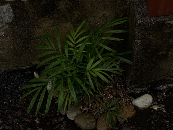 02e7d1a5a64ef2490b6faa391364f3ad_1657101361_5465.jpg